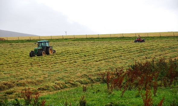  Migrant Voice - Cornwall farmers plea for labour as produce sits rotting in fields