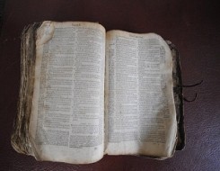  Migrant Voice - New Huguenot Heritage Centre