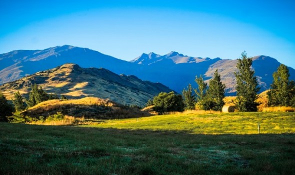  Migrant Voice - Latest New Zealand statistics