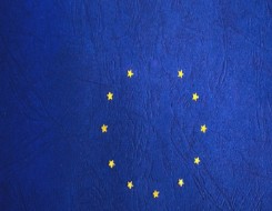  Migrant Voice - European migrants have rights, too