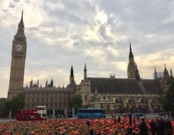  Migrant Voice - UK’s missed opportunity at UN summit