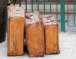 Migrant Voice - Our toxic migration debate must change