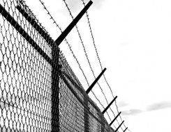  Migrant Voice - Close down the detention centres