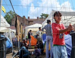  Migrant Voice - The Lore of The Jungle