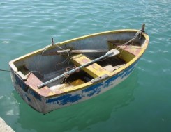  Migrant Voice - Immigration - a window of hope and a door of death