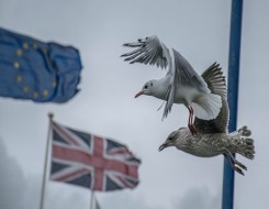 Migrant Voice - London focus group on the impact of Brexit on families