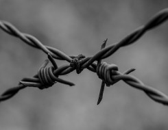  Migrant Voice - Coronavirus, NRPF & visa fees