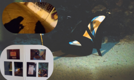  Migrant Voice - New short film shows the brutal reality of sex work in Brazil: Priscila's story