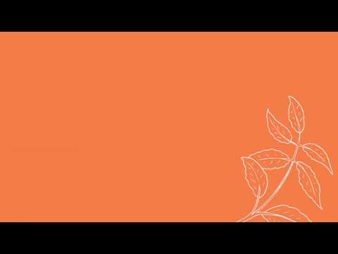 areej  international womens day 2020